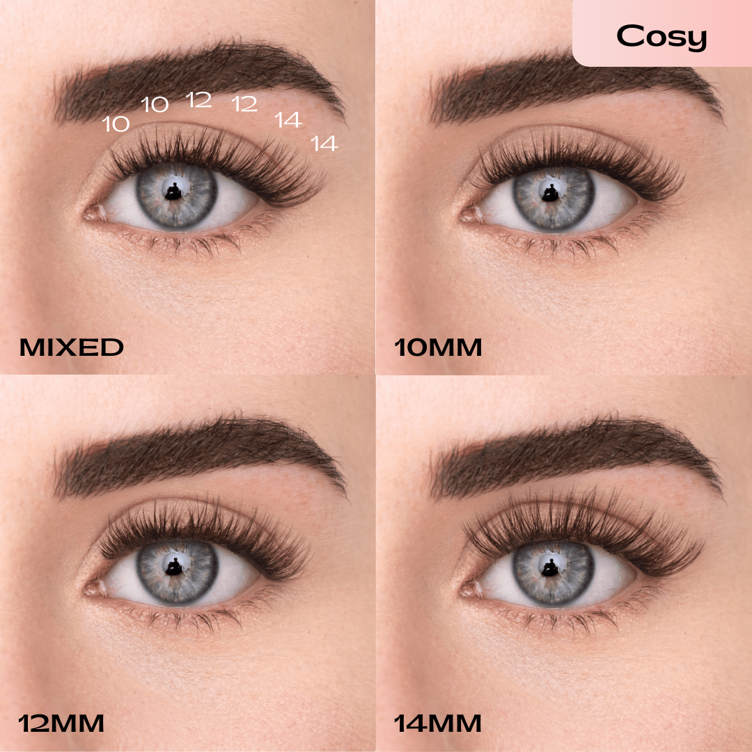 
            
              PRESS - ON LASHES (EN) - MAYSON Cosmetics
            
          