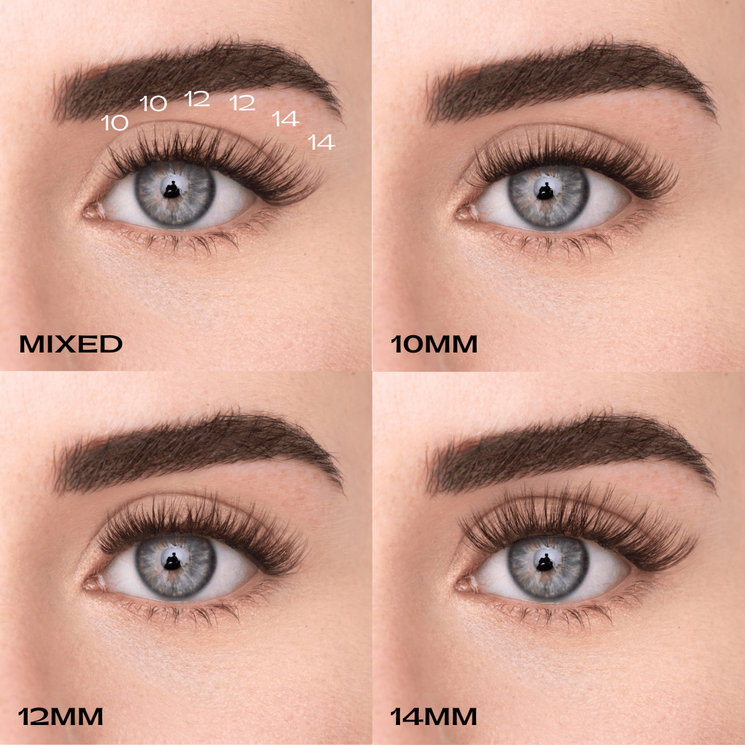 
            
              COSY KIT (EN) - MAYSON Cosmetics
            
          