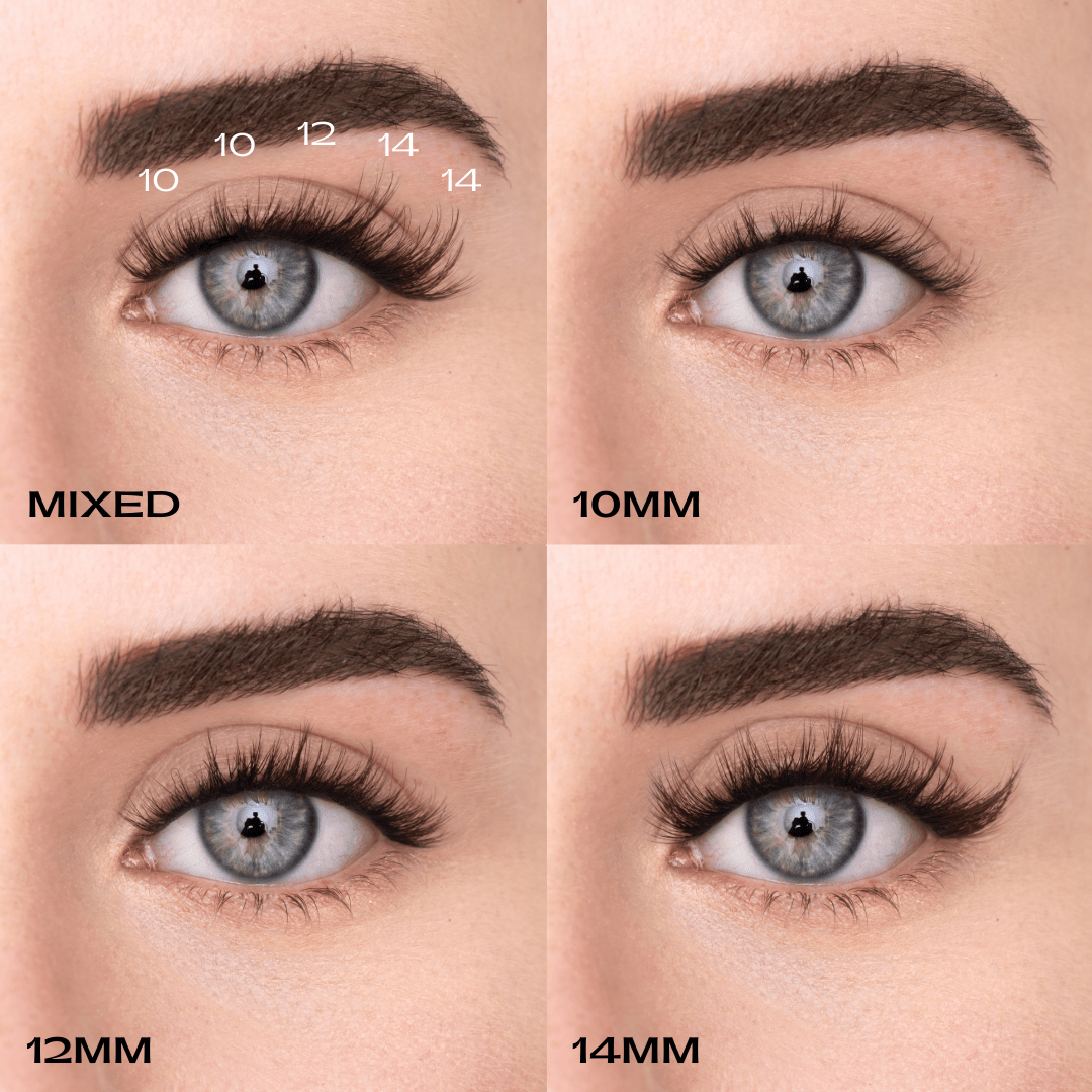 
            
              SASSY KIT (EN) - MAYSON Cosmetics
            
          