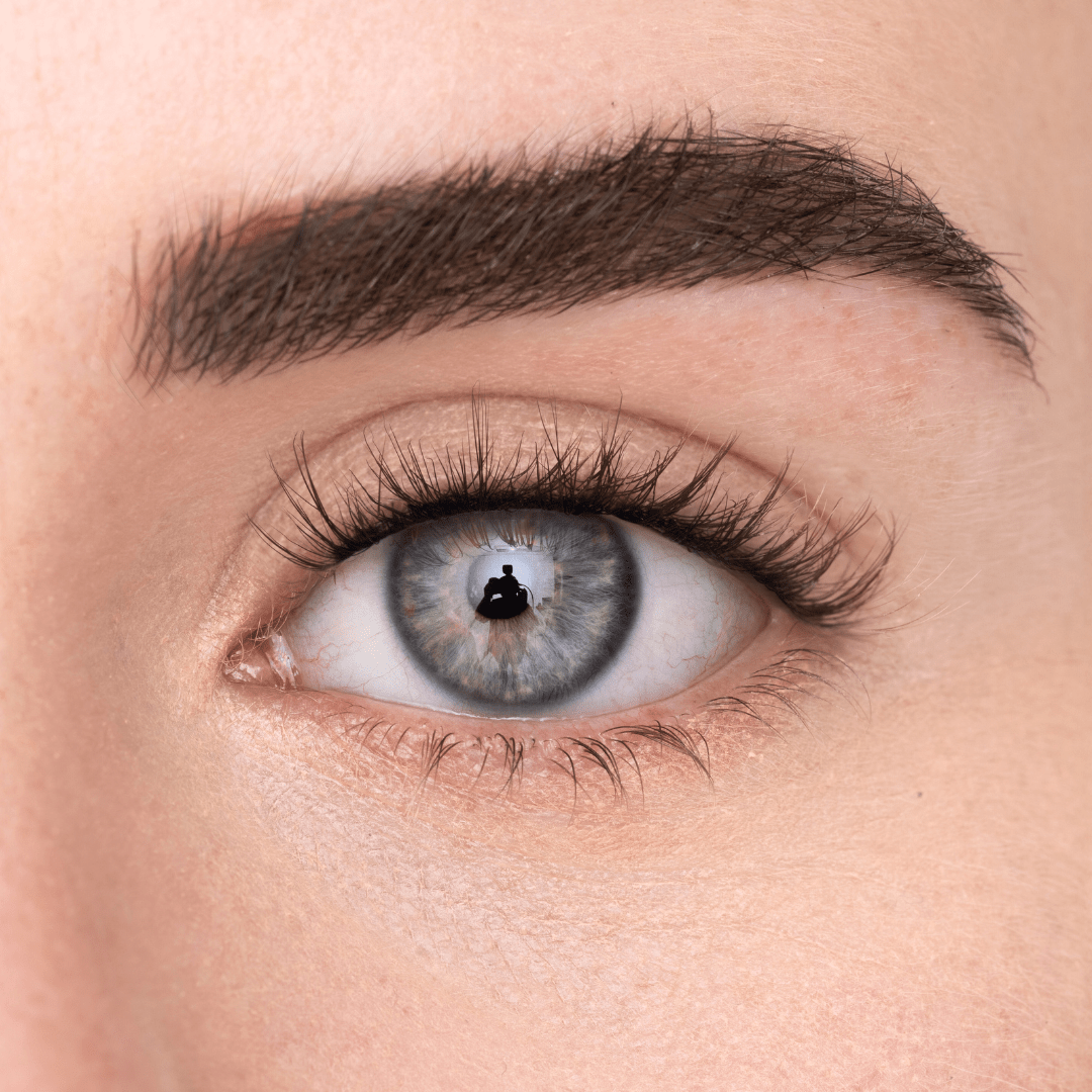 
            
              WISPY KIT (EN) - MAYSON Cosmetics
            
          