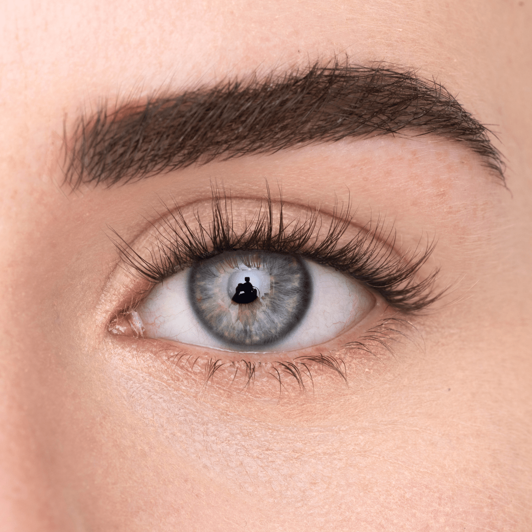 
            
              WISPY LASH (DE) - MAYSON Cosmetics
            
          