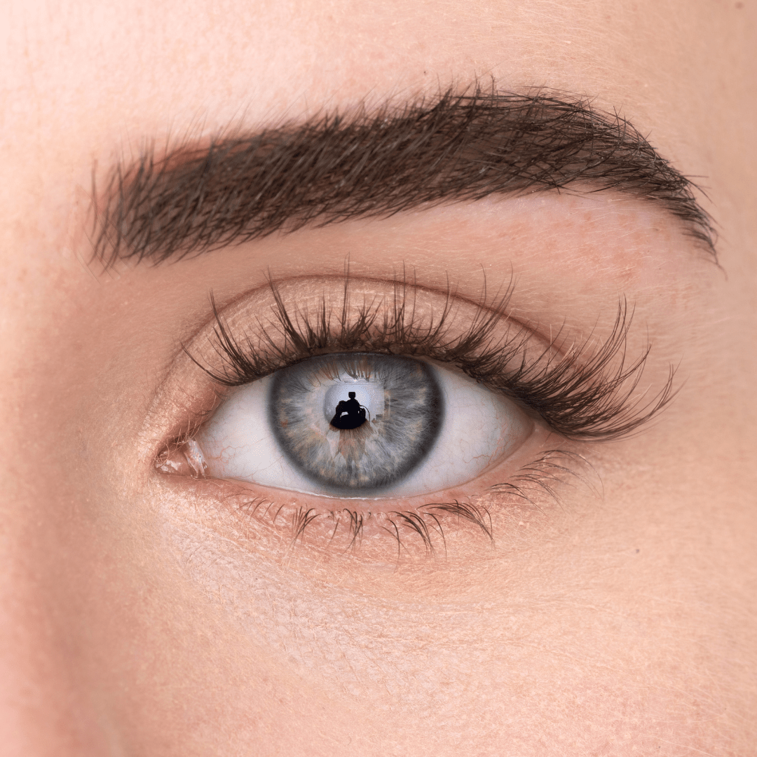 
            
              WISPY KIT (EN) - MAYSON Cosmetics
            
          