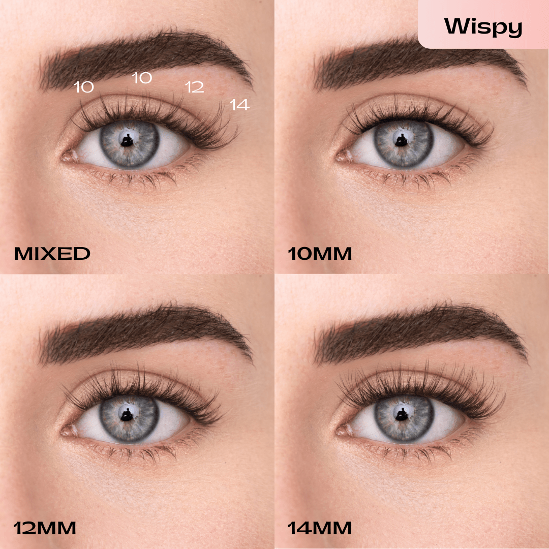 
            
              PRESS - ON LASHES (EN) - MAYSON Cosmetics
            
          