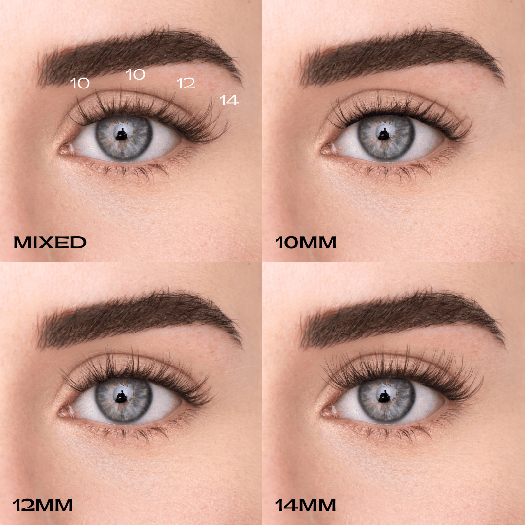 
            
              WISPY KIT (EN) - MAYSON Cosmetics
            
          